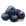 Blueberries