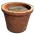 Single Plant Pot