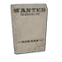 Wanted Poster 2
