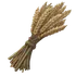 Wheat