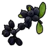Black Berry