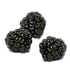 Black Raspberries