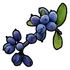Blue Berry