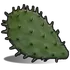 Cactus Flesh