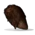 Burnt Chicken