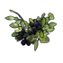 Black Berry Clone