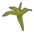Corn Clone