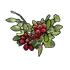 Red Berry Clone