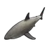 Small Shark
