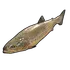 Small Trout