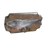 Fish Trophy