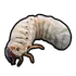 Grub