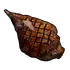 Cooked Horse Meat