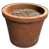 Single Plant Pot