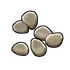 Potato Seed