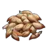 Rose Seed