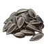 Sunflower Seed