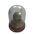 Skull Trophy