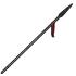 Lunar New Year Spear