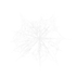 Spider Webs